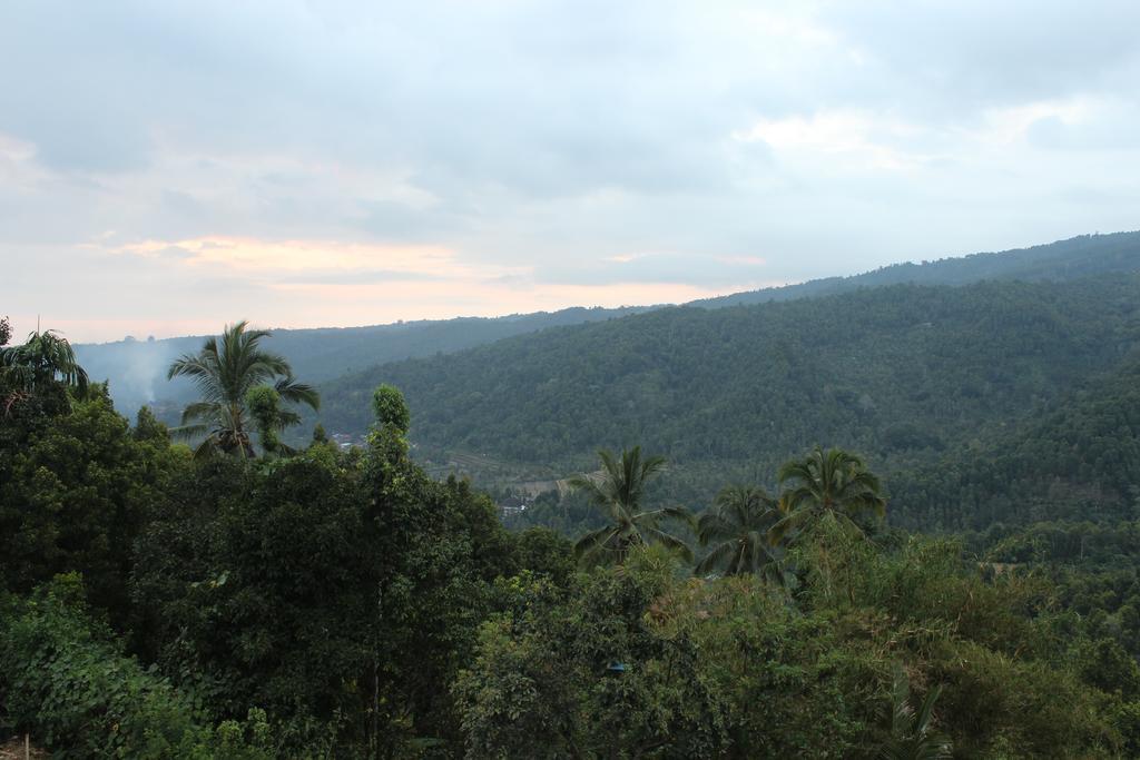 Maliana Homestay Munduk Exteriér fotografie